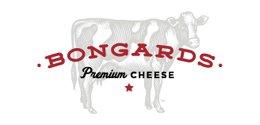 Bongard's Logo