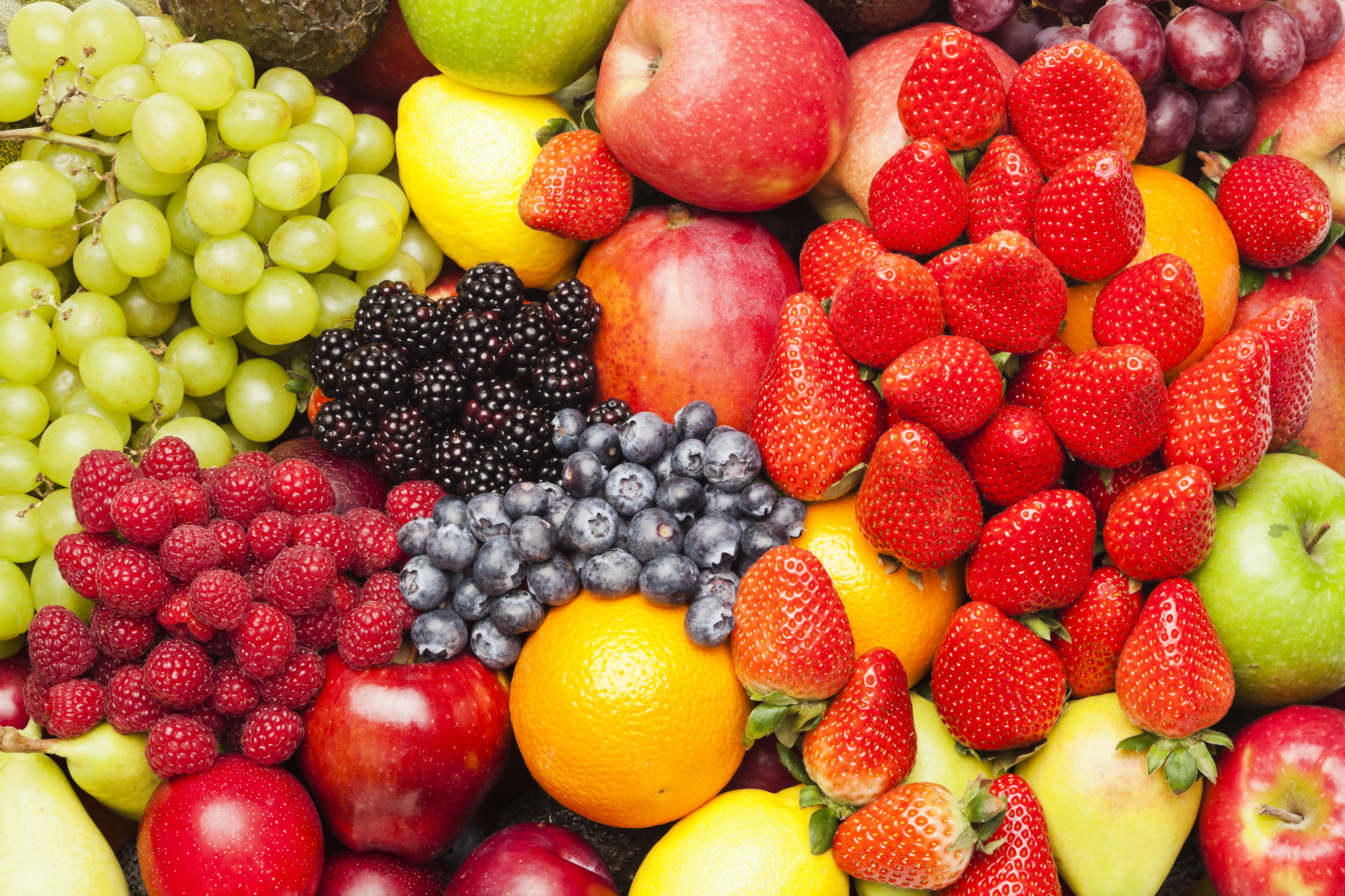 250128_IBS_WebinarSeries_Banner_446x208.jpg